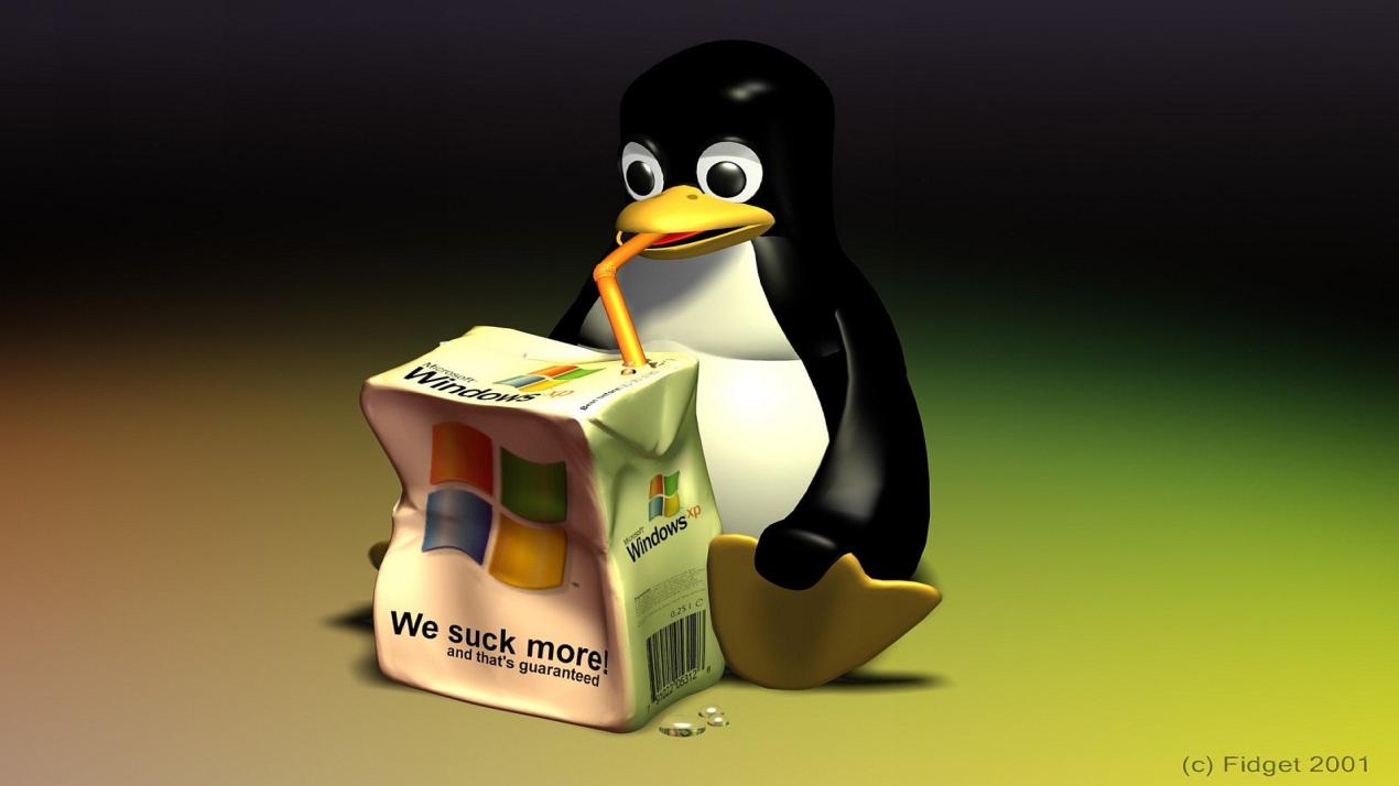Wie behebe ich häufige Befehlszeilenfehler in Linux?